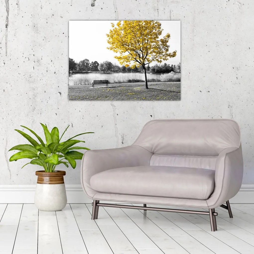 Obraz na szkle - Odpoczynek w parku (70x50 cm)