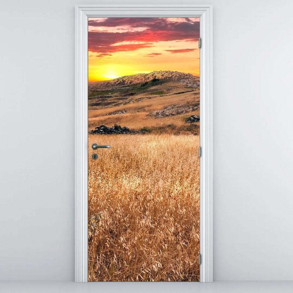Fototapeta na drzwi - Pole (95x205cm)