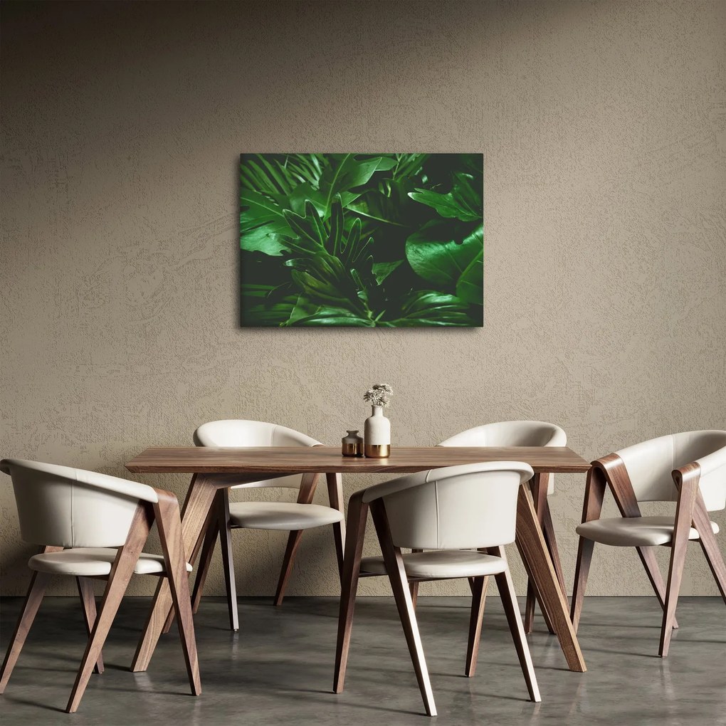 Obraz - Liście palmowe (70x50 cm)