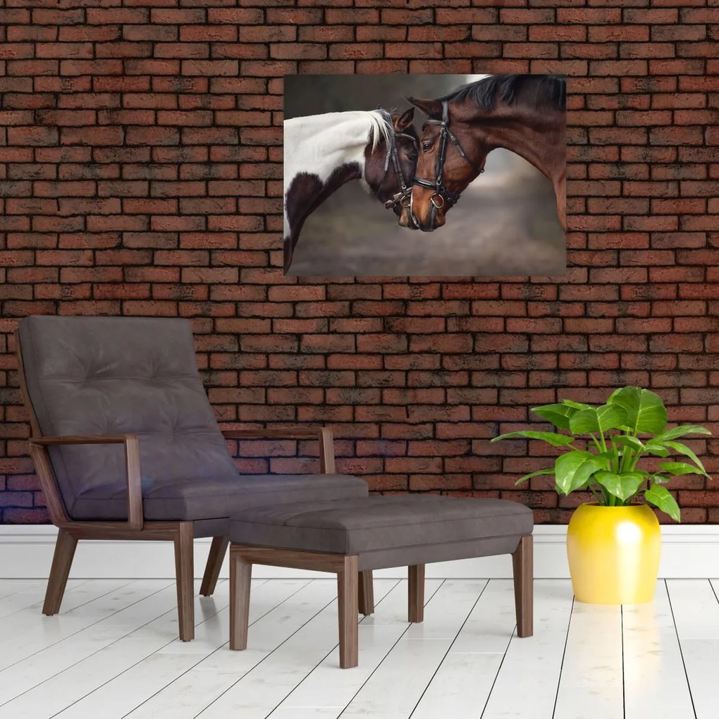 Obraz - Zakochane konie (70x50 cm)