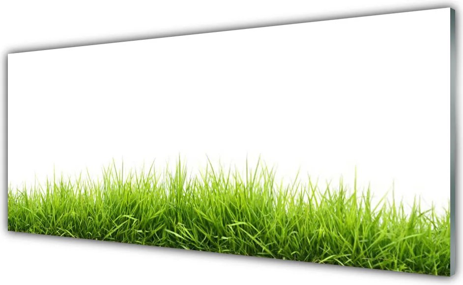Panel Kuchenny Naturalny Dywan Trawy