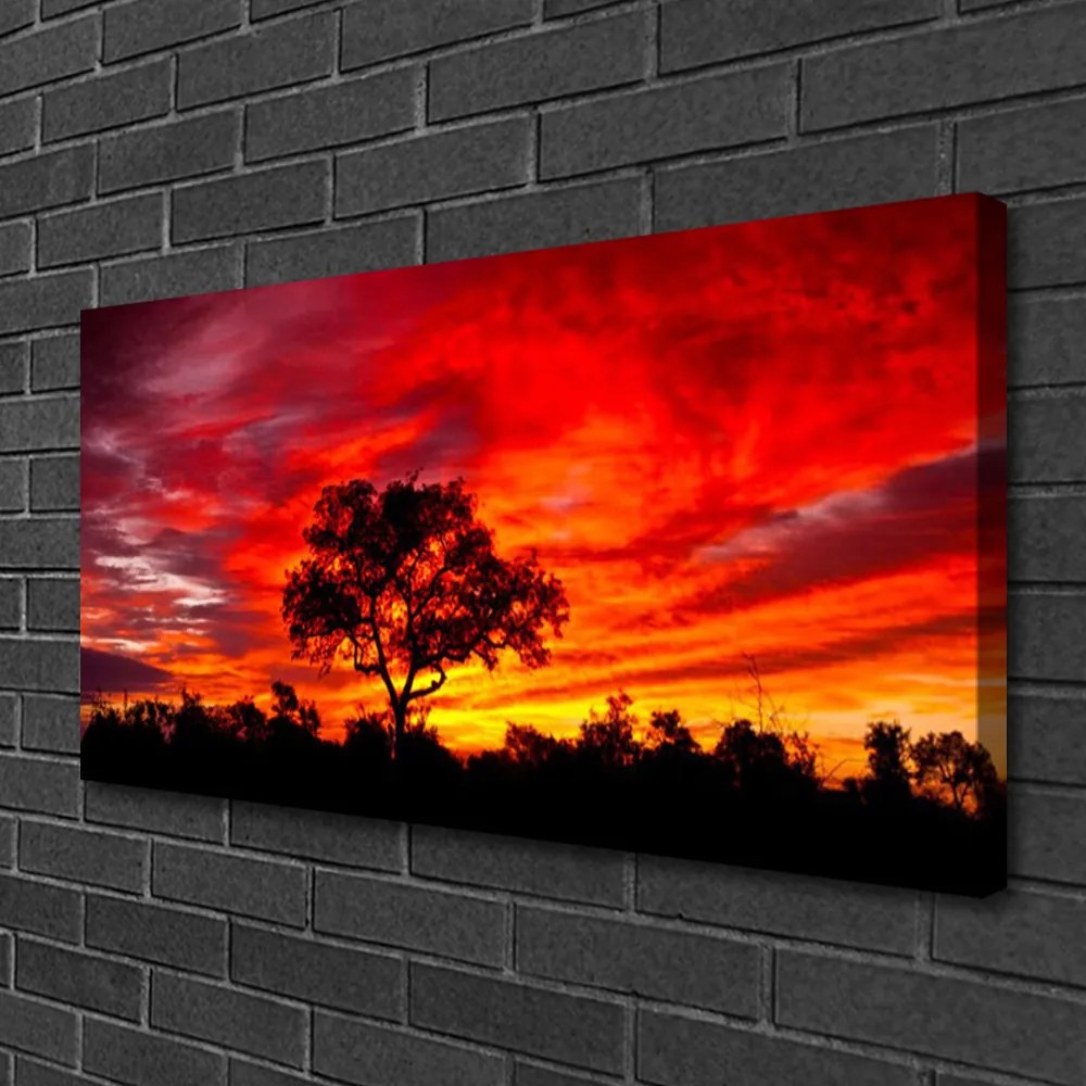 Obraz canvas na ścianę Głusza Leśnej Natury