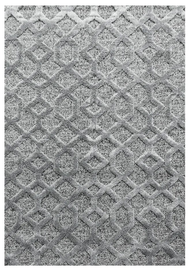 Szary dywan 160x230 cm Pisa – Ayyildiz Carpets