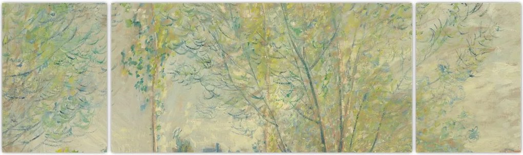Obraz - Claude Monet, The Willows, reprodukcje (170x50 cm)