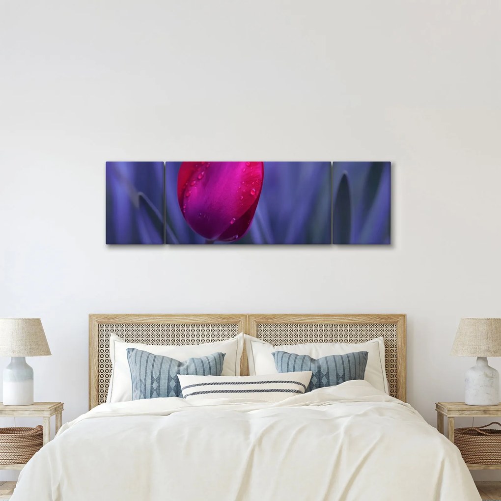 Obraz pąka tulipana (170x50 cm)
