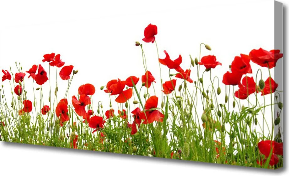 Duży obraz na płótnie Molo o Złotej Godzinie