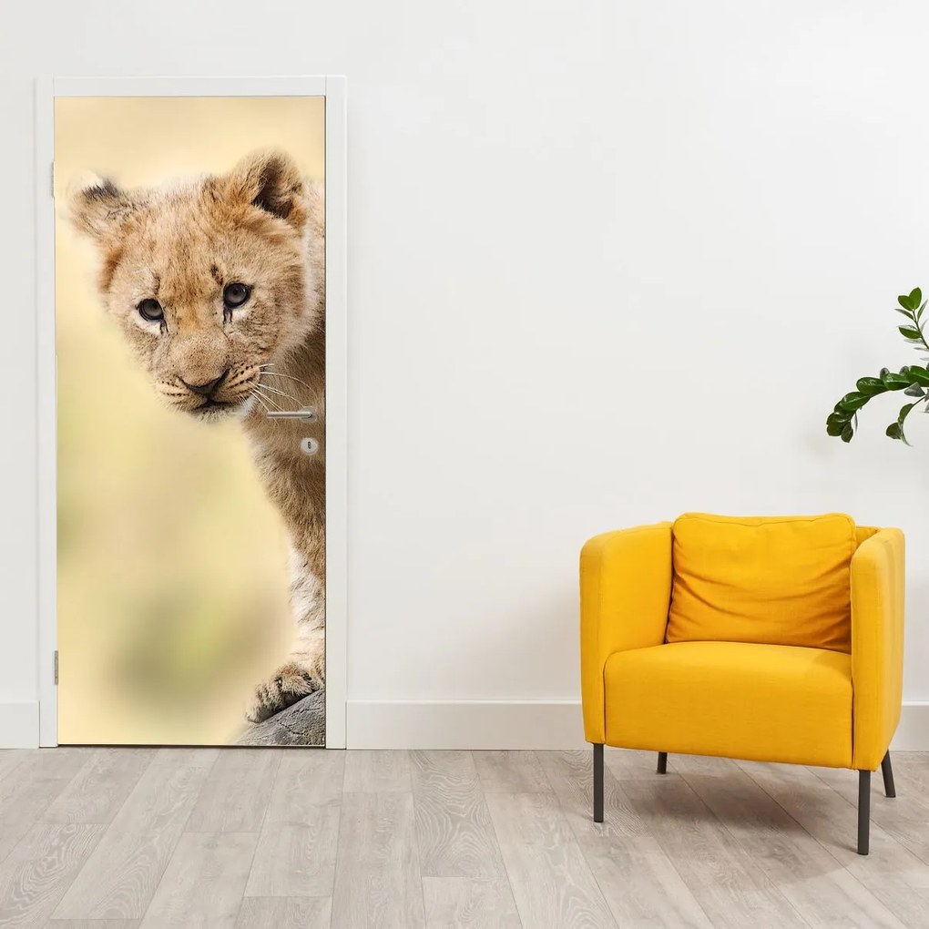 Fototapeta na drzwi - Lew (95x205cm)