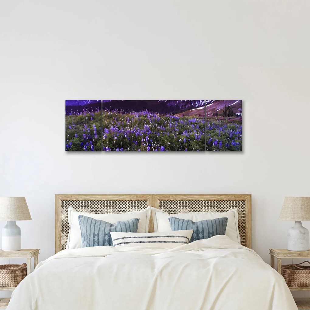 Obraz - Wulkan i kwiaty (170x50 cm)