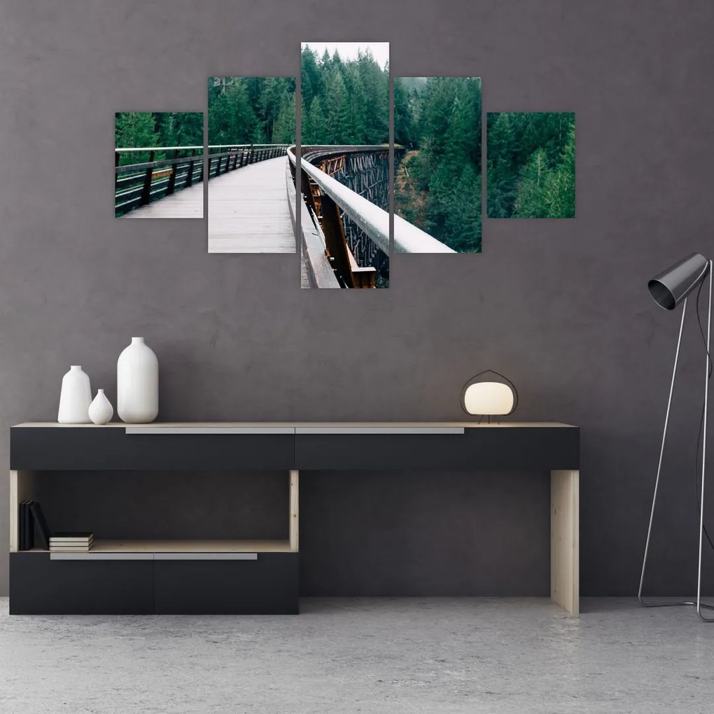 Obraz - Most do wierzchołków drzew (125x70 cm)