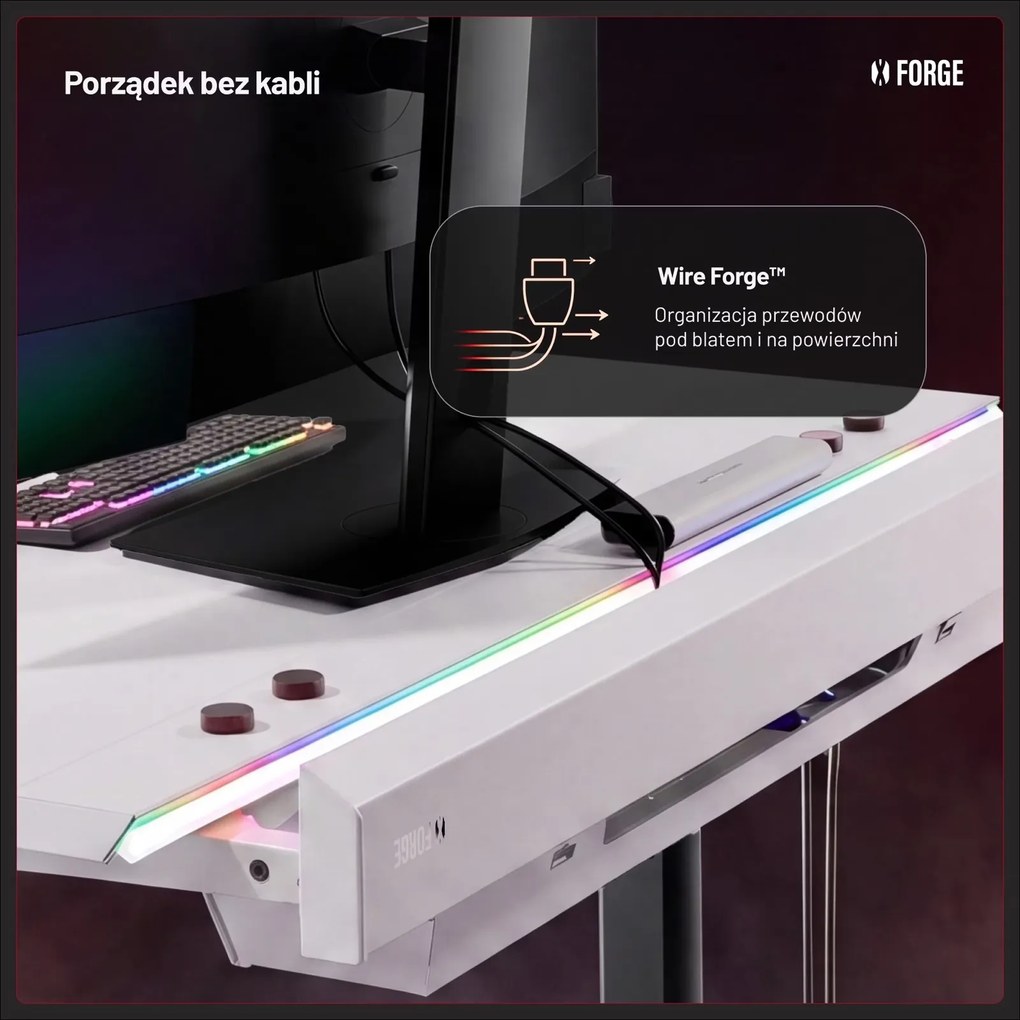 Biurko gamingowe elektryczne RGB Diablo X-Forge, 120x70 cm, biało-czarne