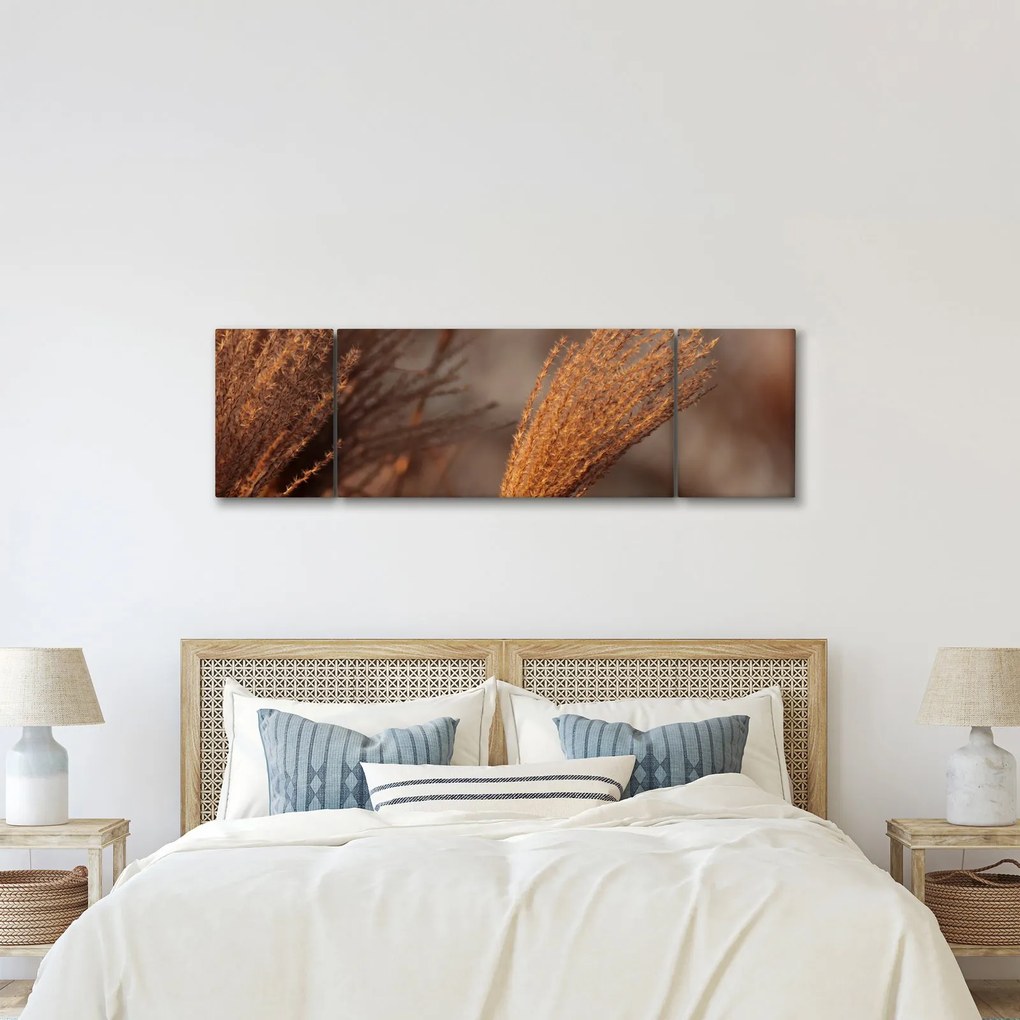 Obraz - Kortaderia (170x50 cm)