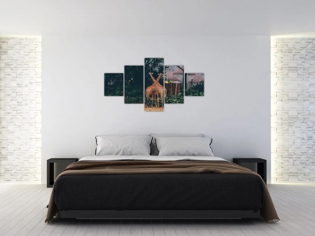 Obraz dwóch żyraf (125x70 cm)