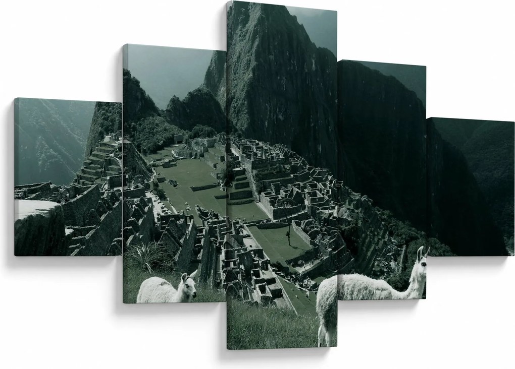 Obraz - Lamy w Machu Picchu w Peru (125x70 cm)
