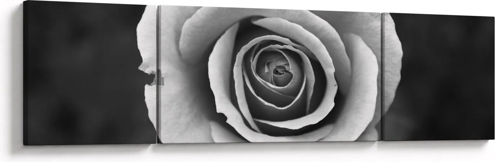 Obraz róży (170x50 cm)