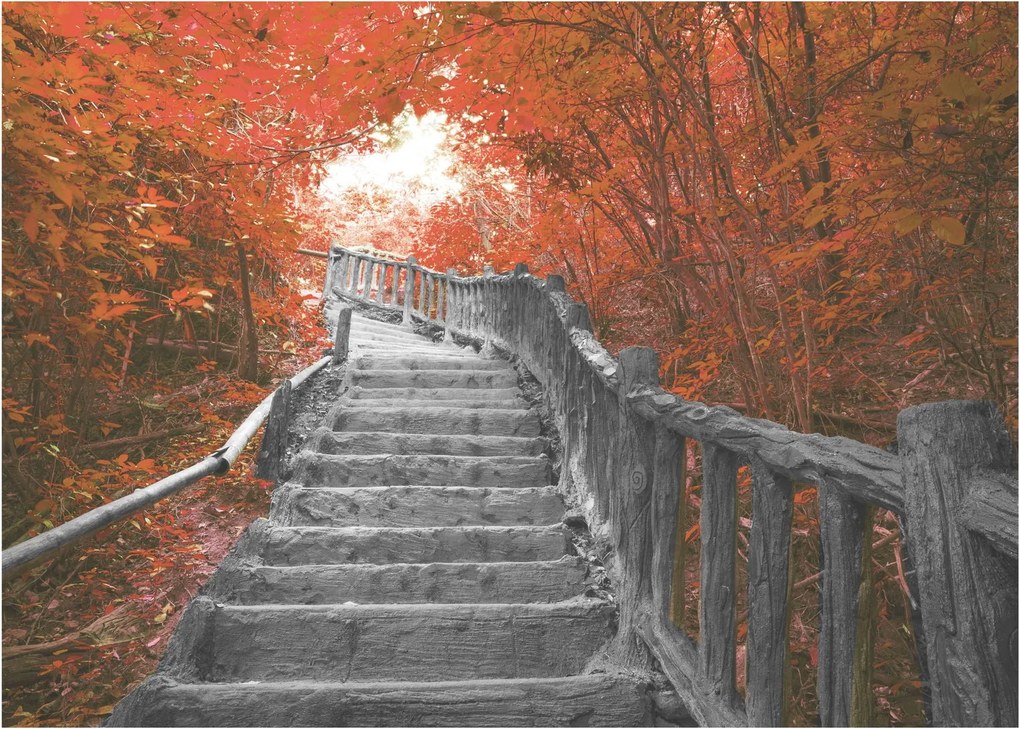 Obraz - Schody w naturze, pomarańczowy (70x50 cm)