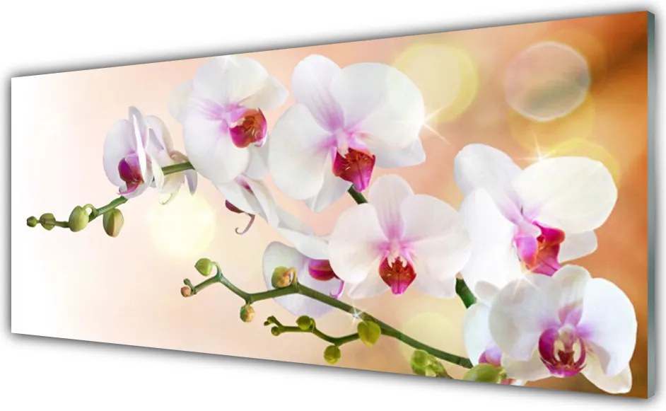 Panel Szklany Malowniczy Ogród Kwiatowy