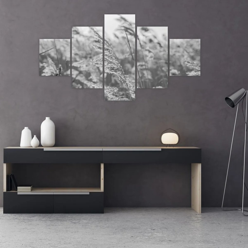 Obraz - Trawa na wietrze (125x70 cm)