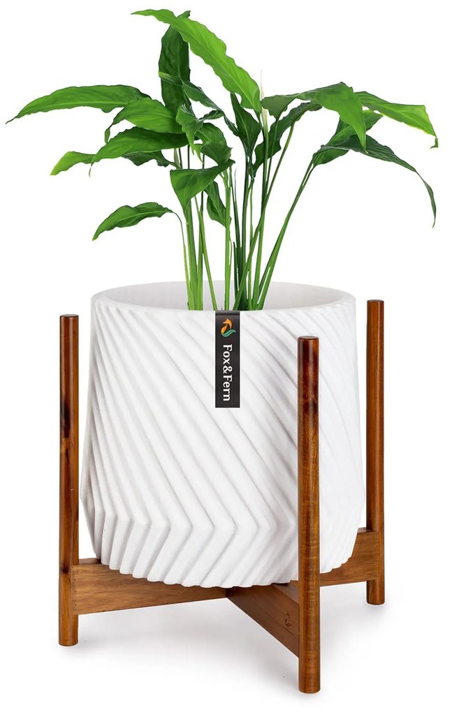 Fox & Fern Zeist Kwietnik