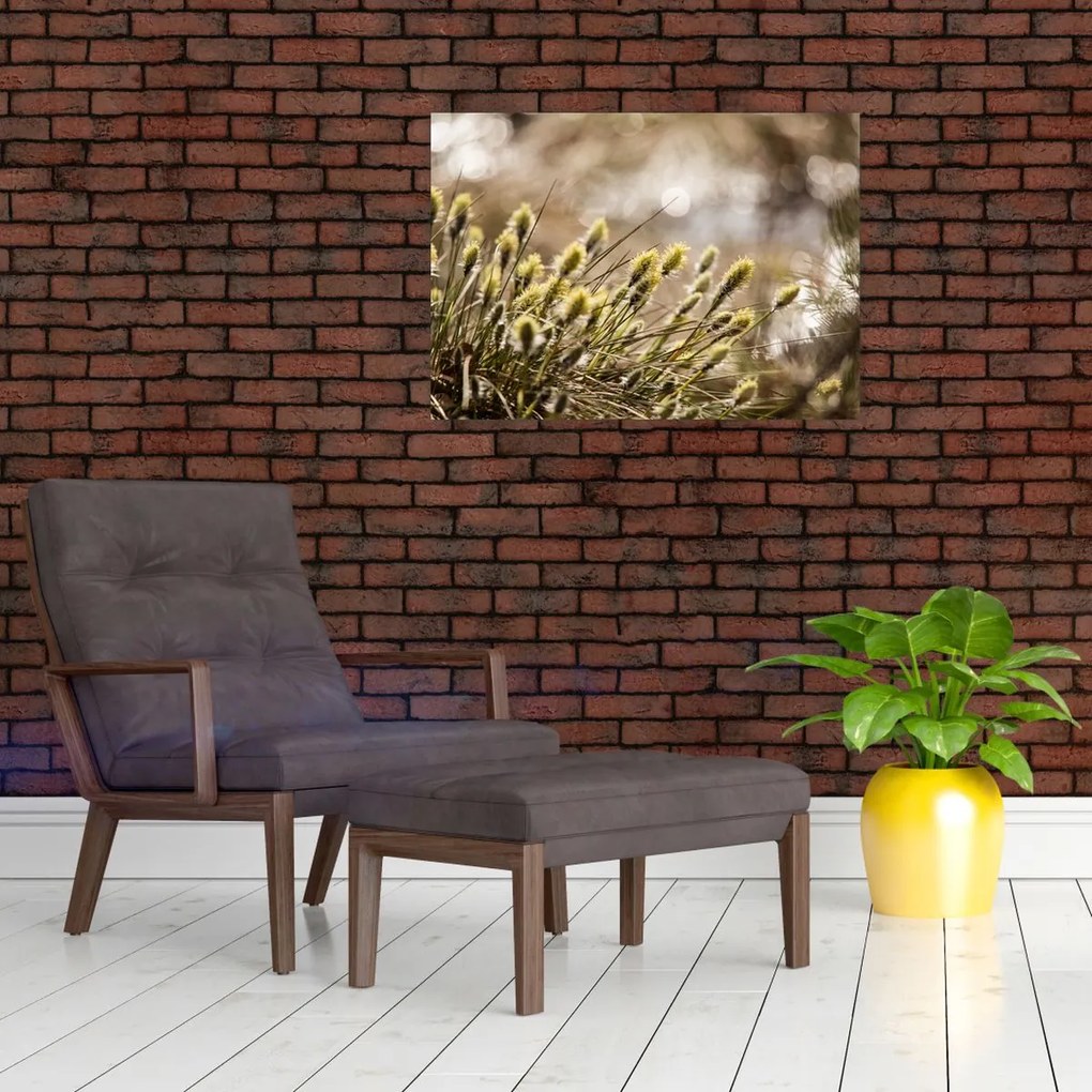 Obraz - Zieleń (70x50 cm)