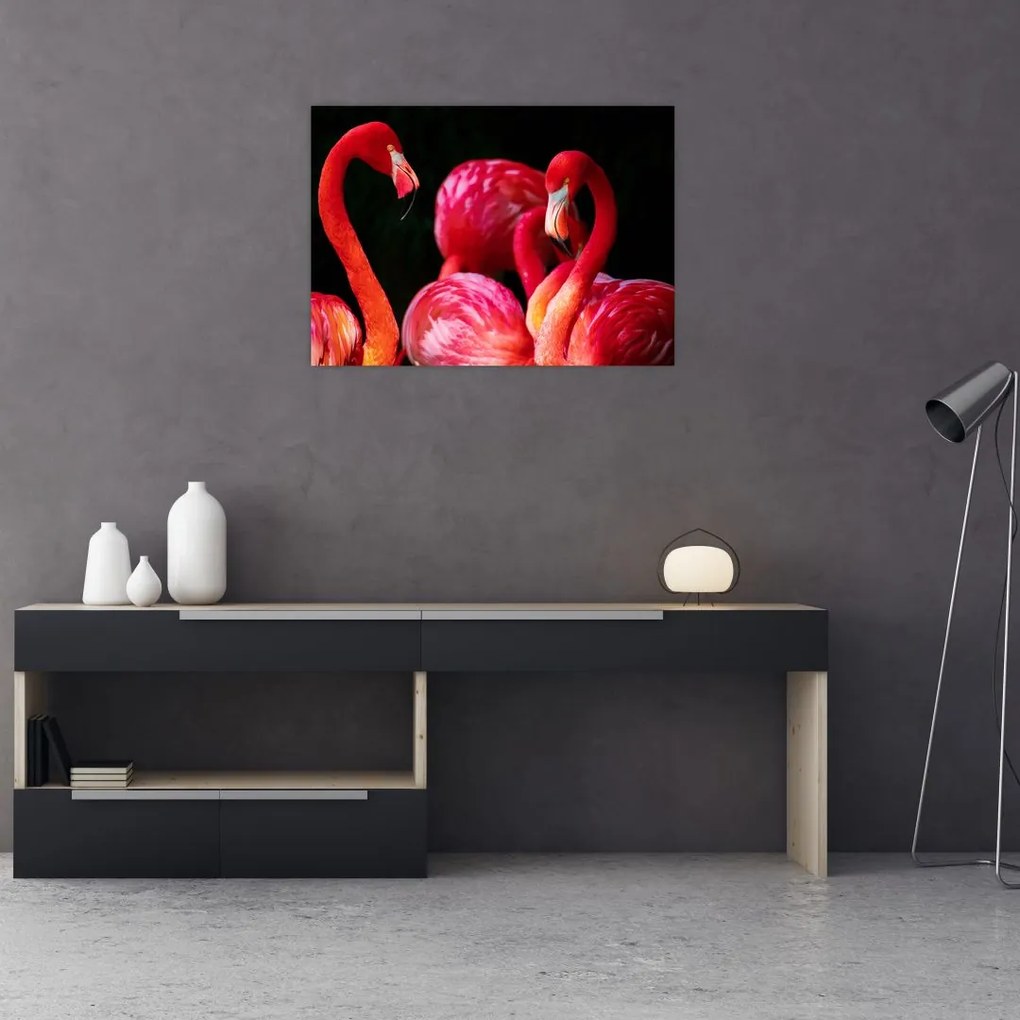 Obraz na szkle - czerwone flamingi (70x50 cm)
