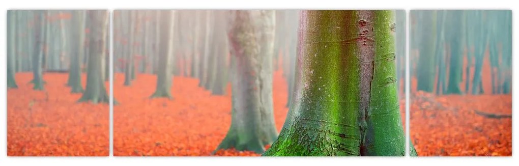 Obraz drzew (170x50 cm)