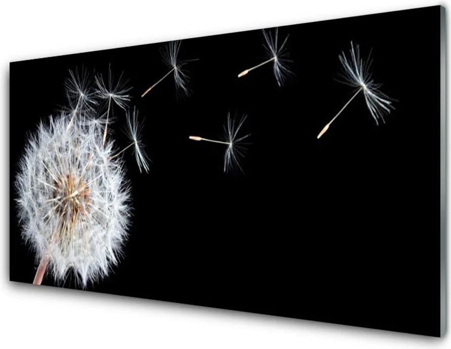 Panel nad blat kuchenny Ulotność Polnego Dmuchawca