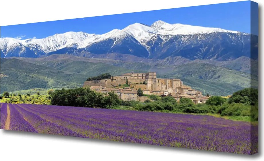 Obraz na płótnie Górska Łąka w Pełni Lata