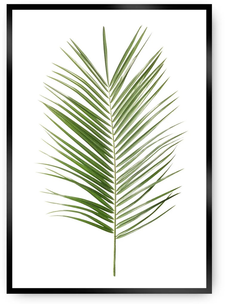 Plakat Palm Leaf Green