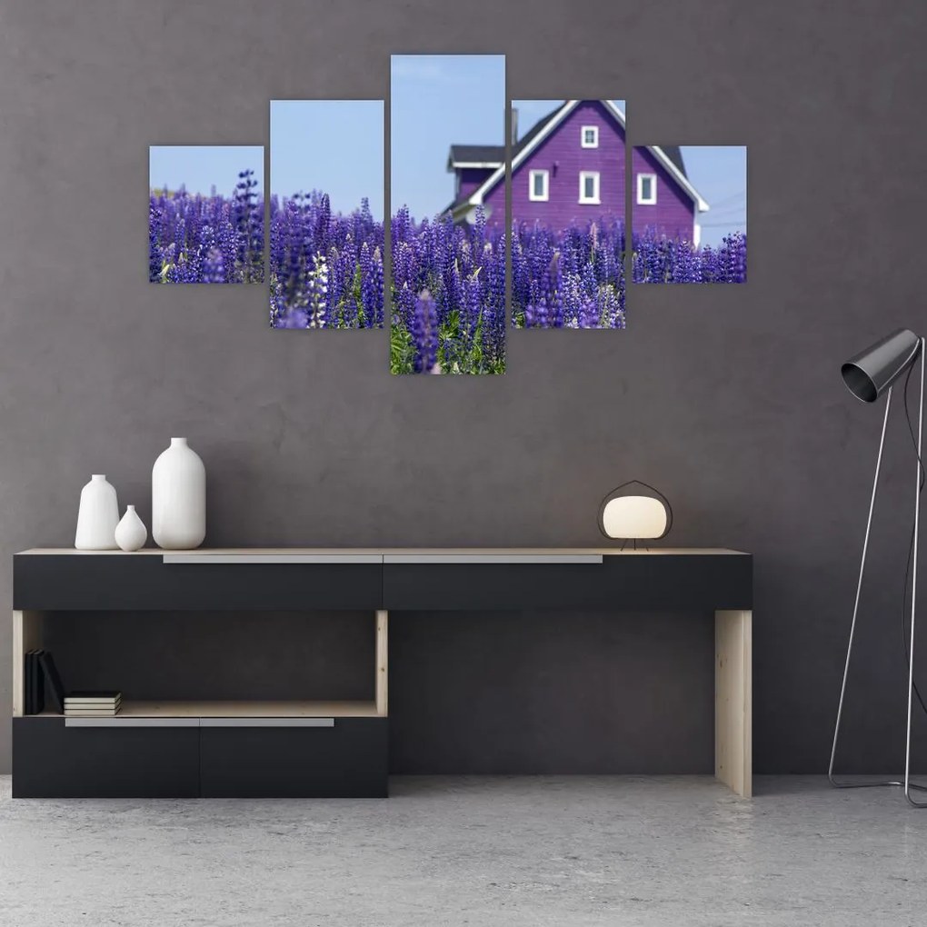 Obraz lawendowego pola (125x70 cm)