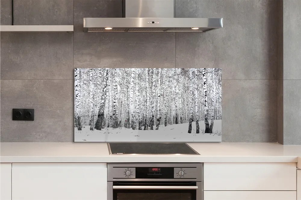 Szklany Panel Zimowy Las Brzozowy