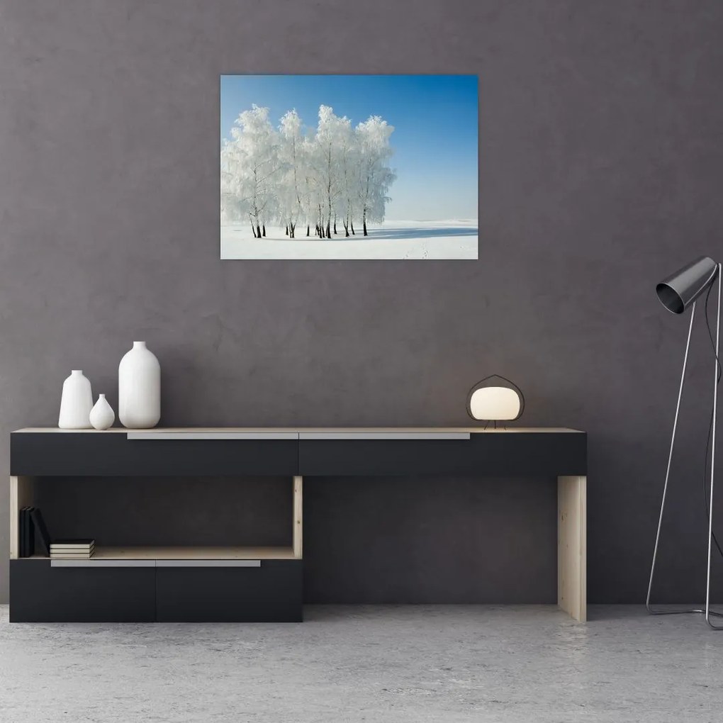Obraz na szkle zaśnieżonego krajobrazu (70x50 cm)
