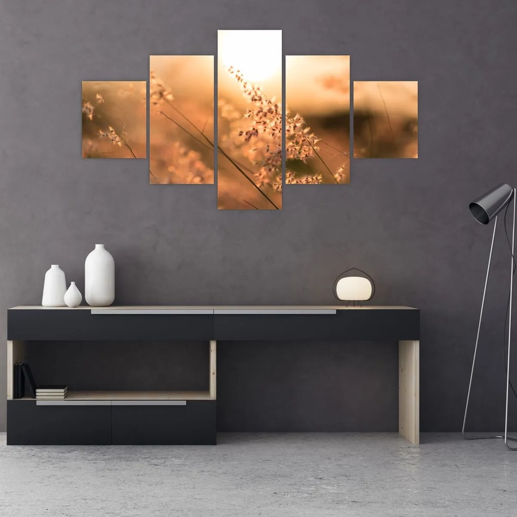 Obraz - Trawa  na słońcu (125x70 cm)