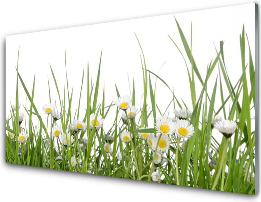 Panel Kuchenny Polana Pełna Stokrotek