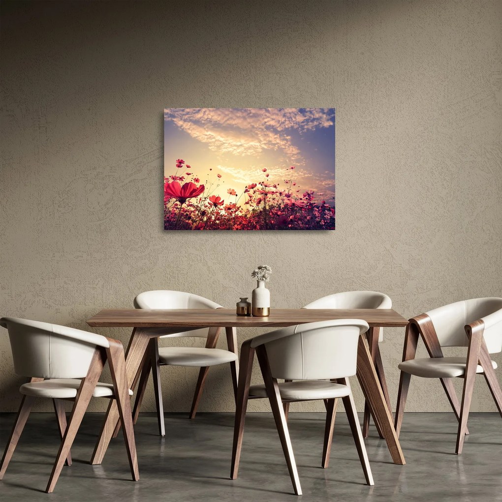 Obraz na szkle - Łąka z kwiatami (70x50 cm)