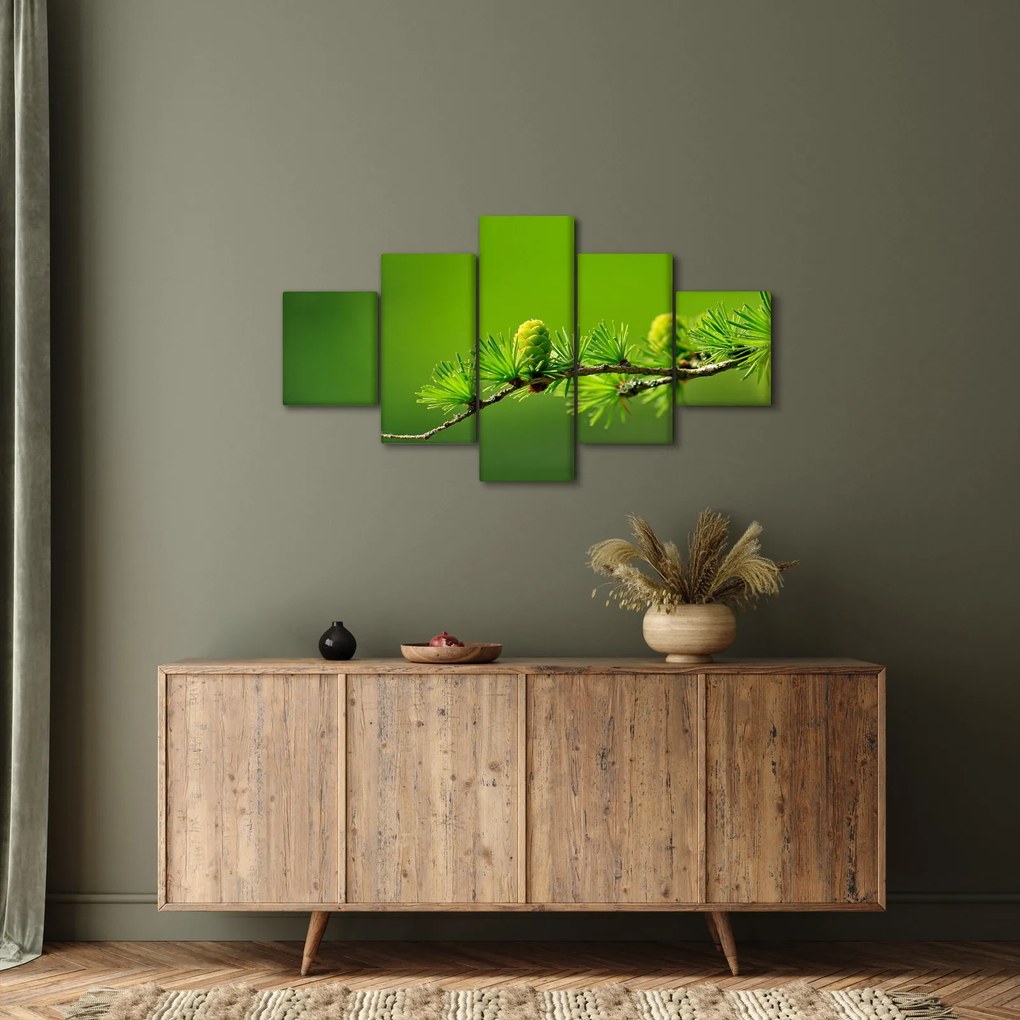 Obraz zielonej szyszki (125x70 cm)