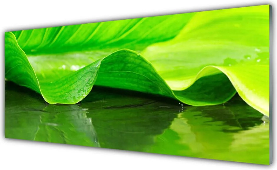 Panel Szklany Makro Struktura Liścia