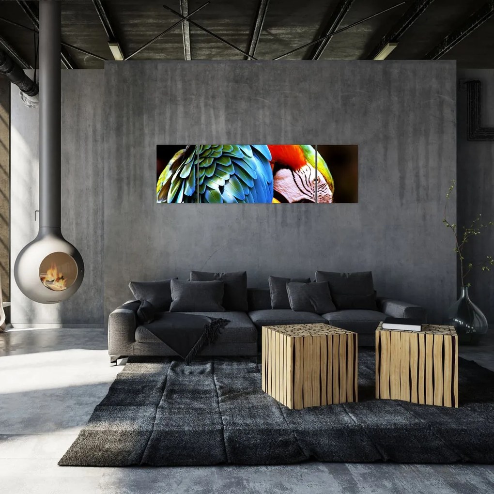Obraz - Papuga (170x50 cm)
