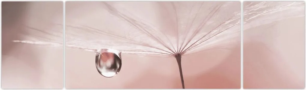 Obraz - Kropla rosy (170x50 cm)