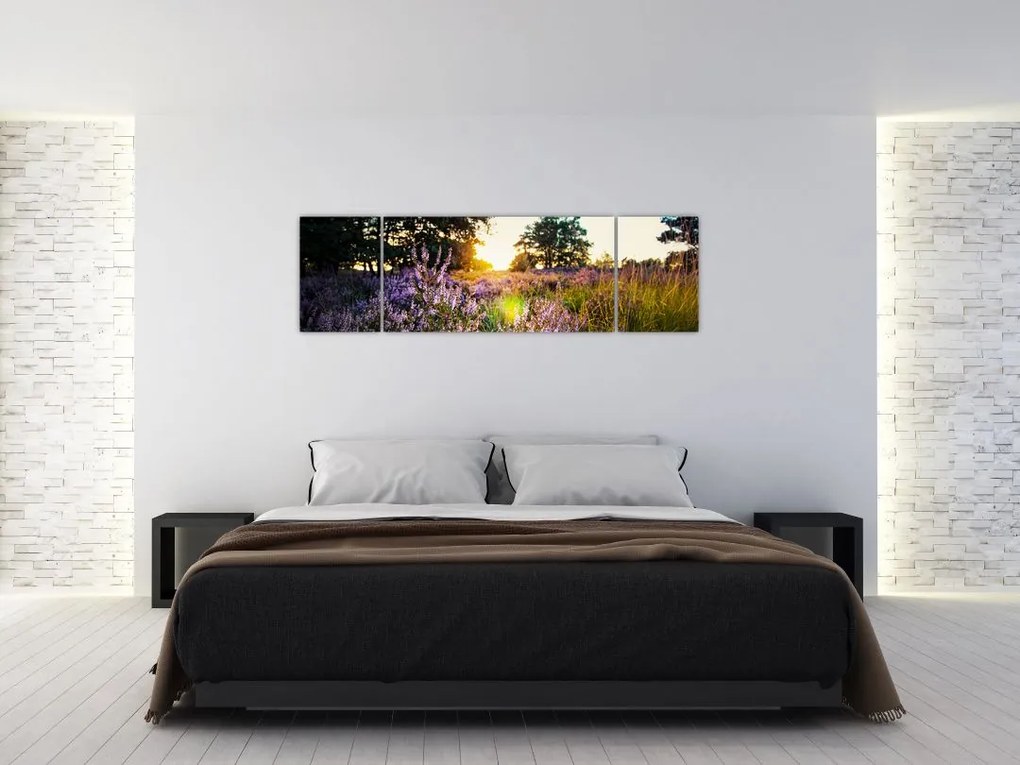 Obraz pola lawendy (170x50 cm)