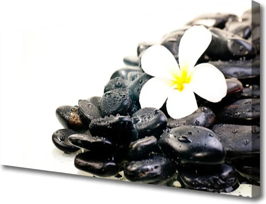Obraz canvas Harmonia Zen: Kwiaty i Skała