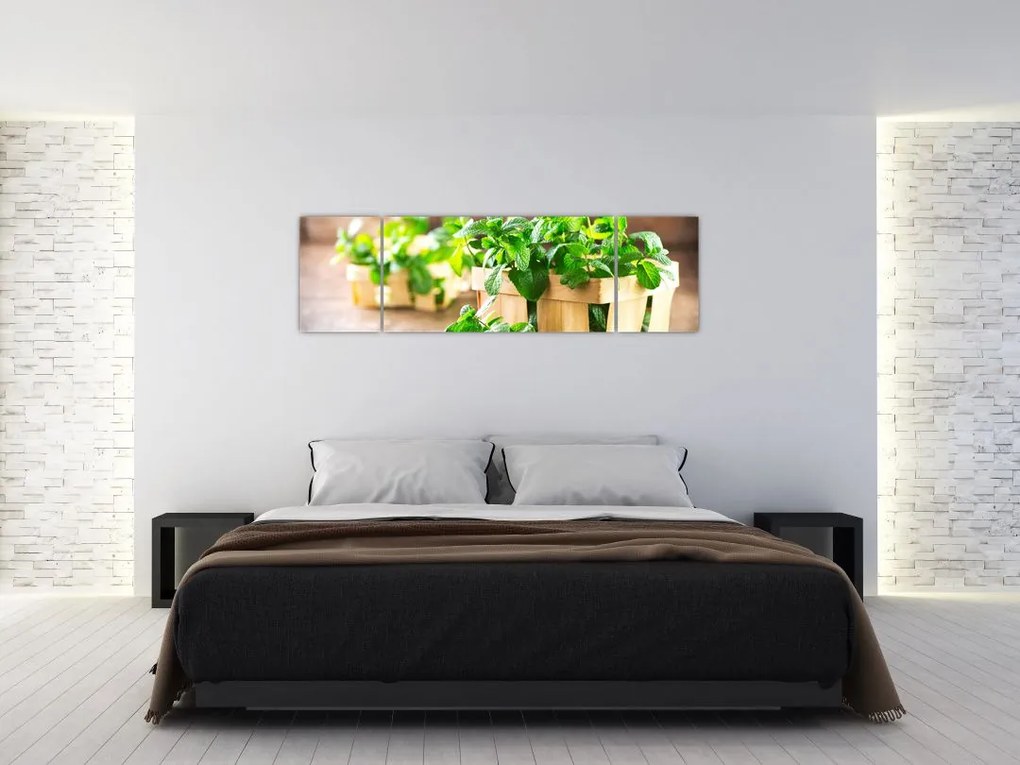 Obraz świeżej mięty (170x50 cm)