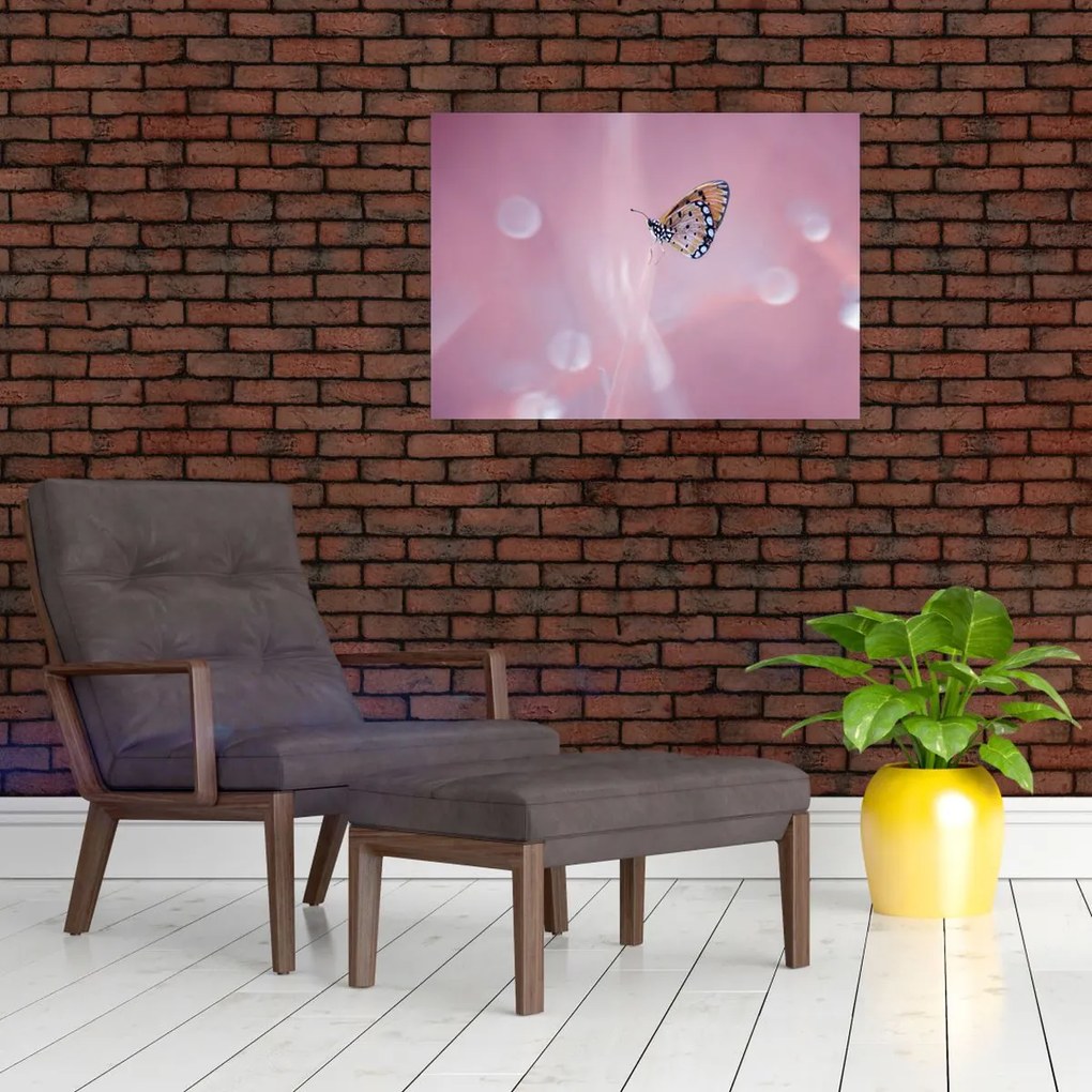 Obraz - Motylek (70x50 cm)