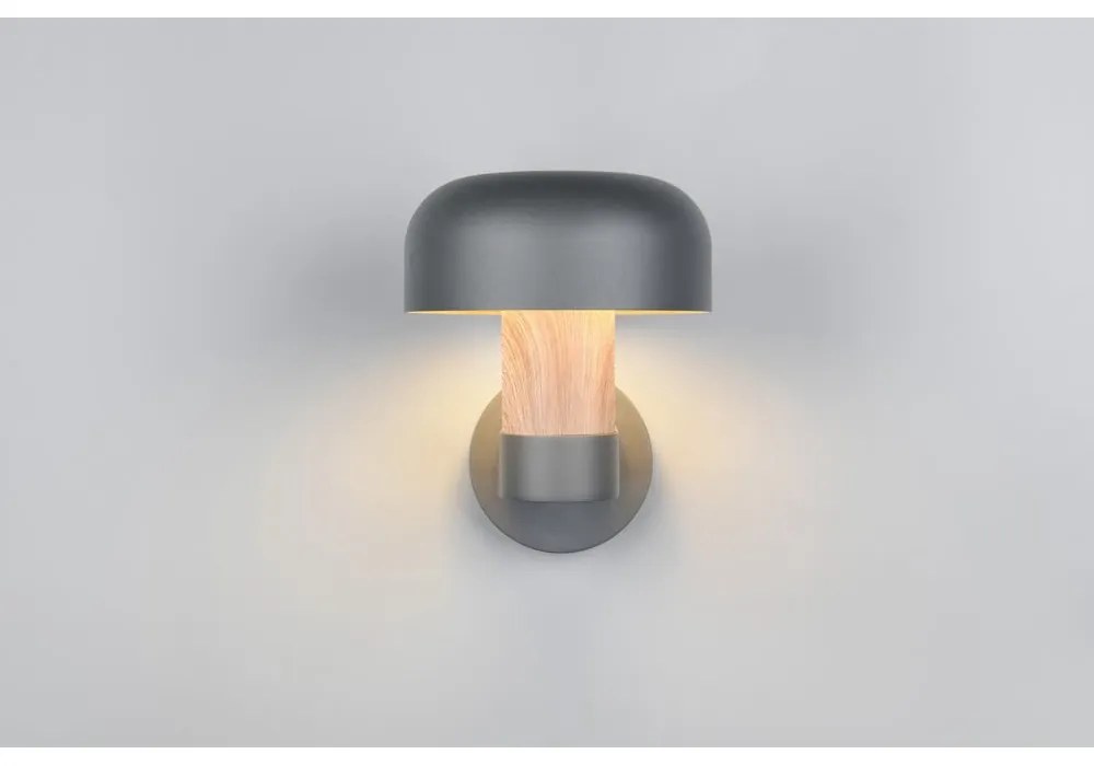 Zewnętrzna lampa ścienna (wysokość 24,5 cm) Fraser – Trio