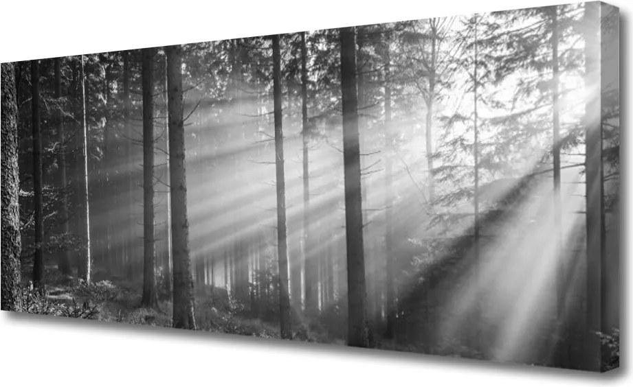 Obraz canvas na ścianę Kaskada nad Górską Przepaścią