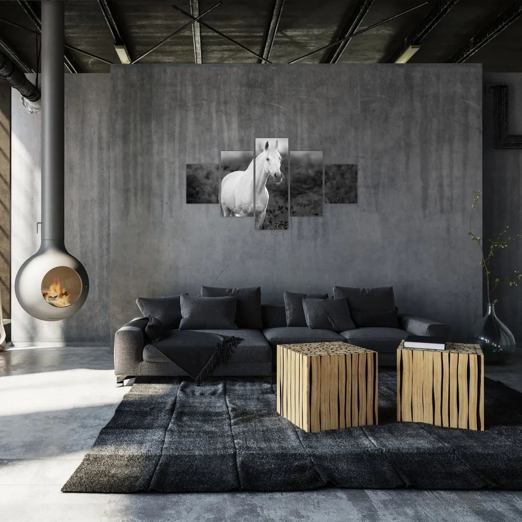 Obraz białego konia na łące, czarno - biały (125x70 cm)