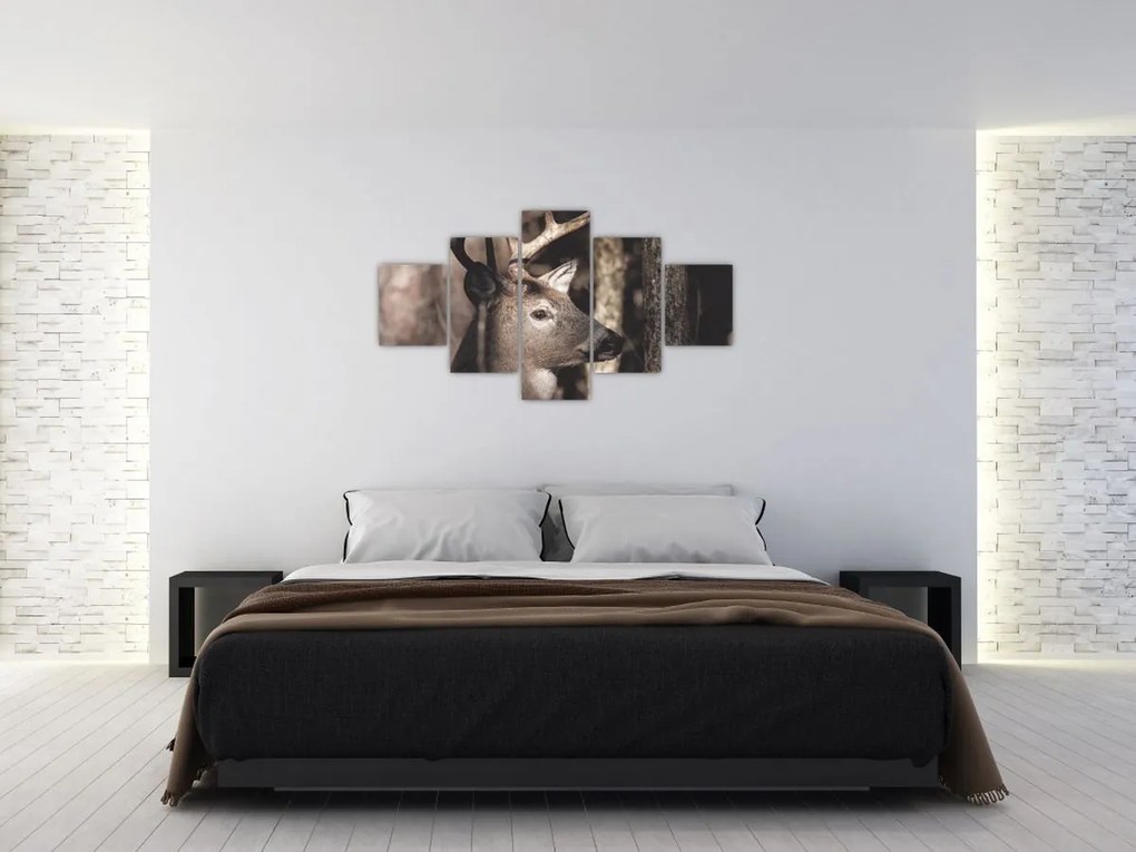 Obraz - Jeleń w lesie (125x70 cm)