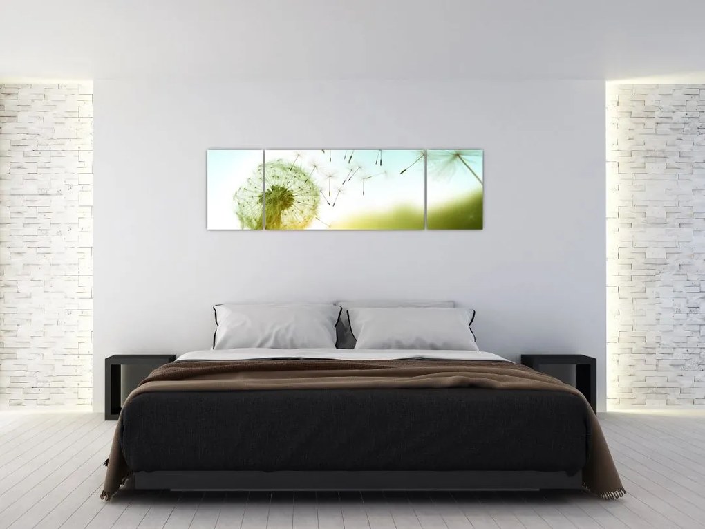 Obraz - Dmuchawiec na wietrze (170x50 cm)