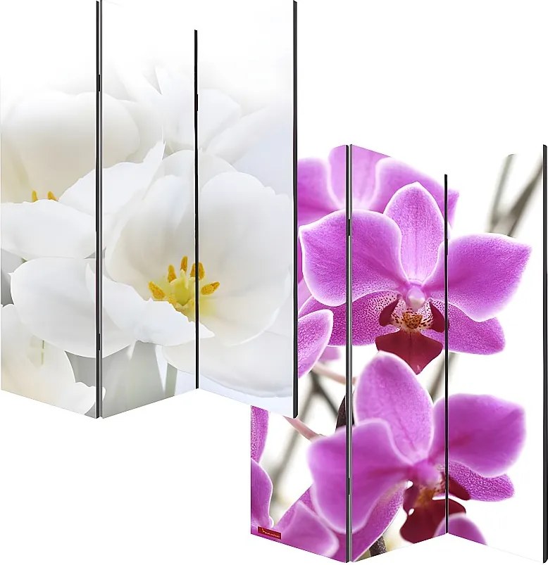 Parawan fotograficzny Bagheria,  180x120cm, orchidea