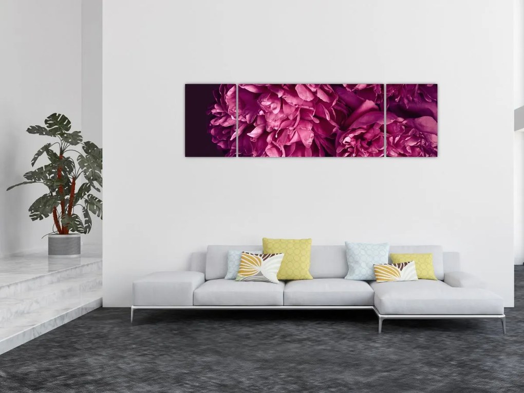 Obraz - Kwiaty piwonii (170x50 cm)