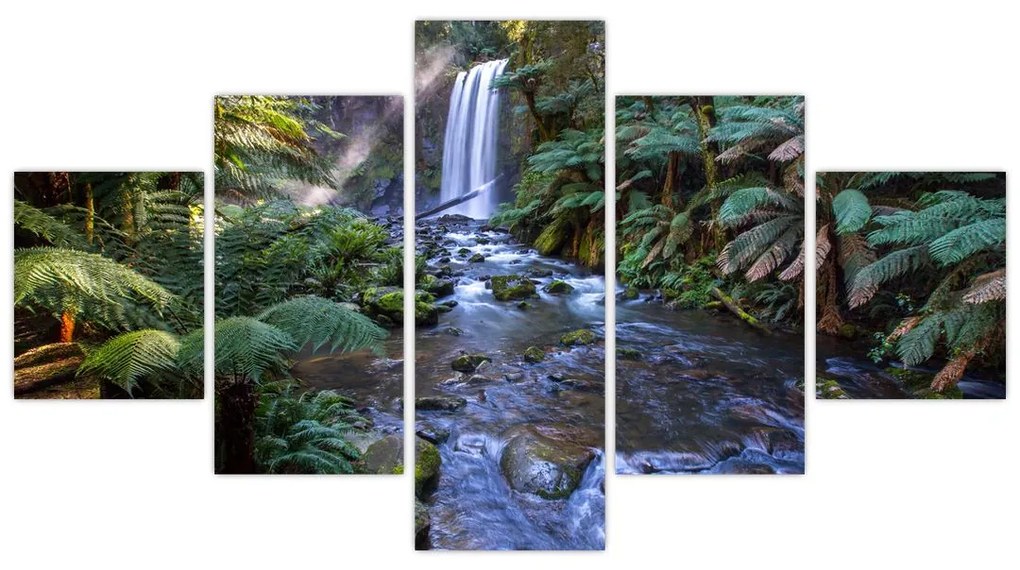 Obraz australijskiego lasu deszczowego (125x70 cm)